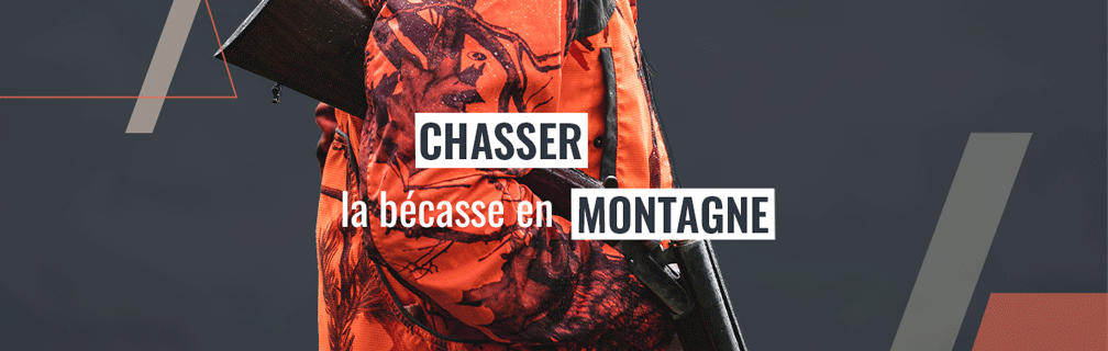 Chasse à la bécasse en montagne : préparation et équipements