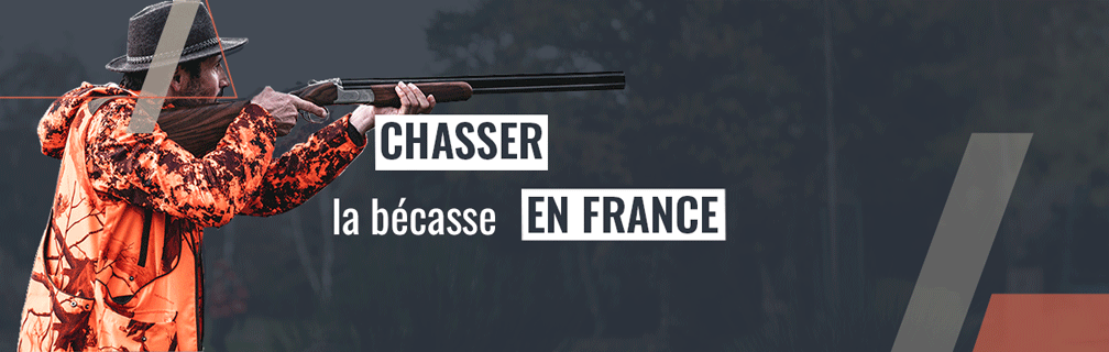 Meilleurs endroits pour chasser la bécasse en France