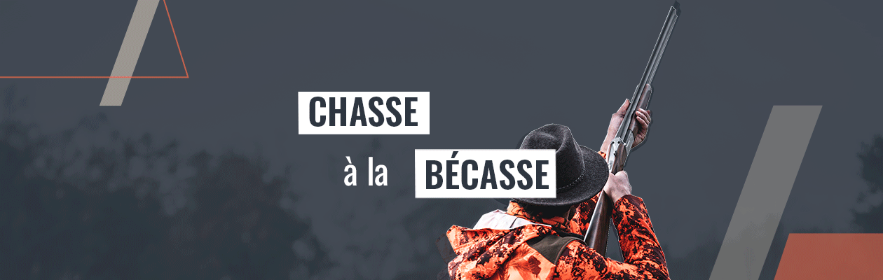 La chasse à la bécasse : tout ce qu'il faut savoir