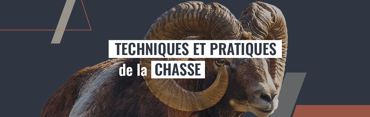 Techniques et pratiques de la chasse