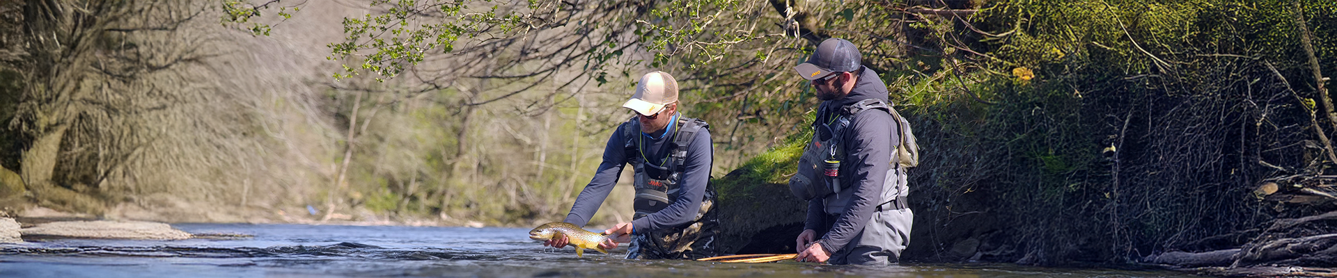 Umpqua Umpqua